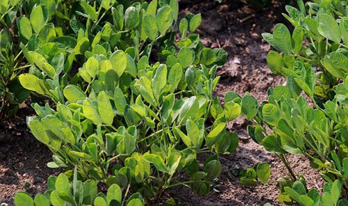 1525772597989569.jpg 327.jpg