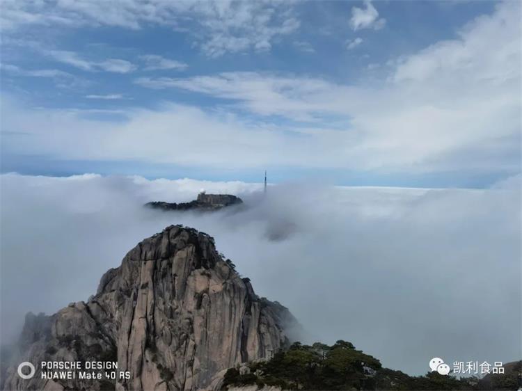 1659346031961660.jpg 88.jpg