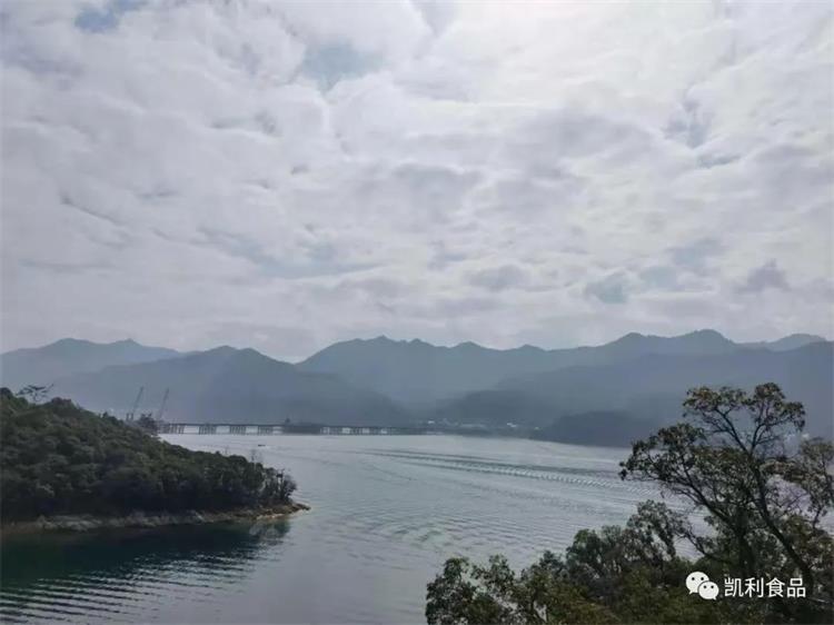 1659346091980579.jpg 101.jpg